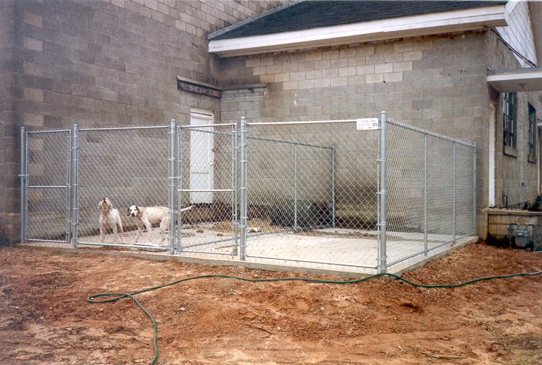 Permanent Dog Kennel on Slab